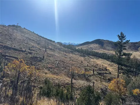 0 G Path, Cotopaxi, CO 81223 photo 16