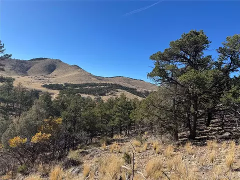 0 G Path, Cotopaxi, CO 81223 photo 17