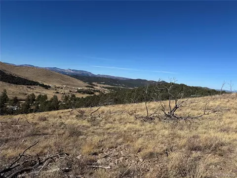 0 G Path, Cotopaxi, CO 81223 photo 28