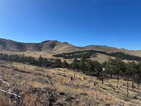 0 G Path, Cotopaxi, CO 81223 photo 22