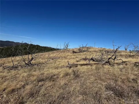 0 G Path, Cotopaxi, CO 81223 photo 29