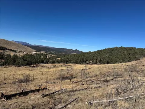 0 G Path, Cotopaxi, CO 81223 photo 32