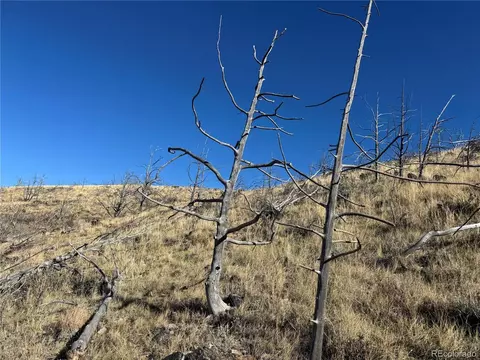 0 G Path, Cotopaxi, CO 81223 photo 34