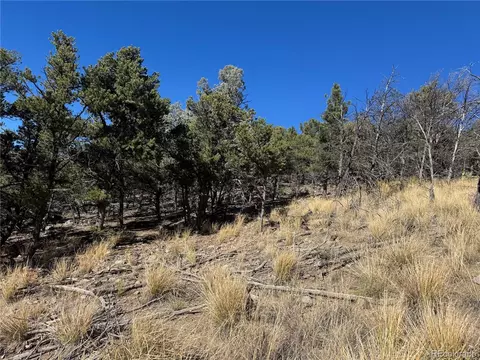 0 G Path, Cotopaxi, CO 81223 photo 18