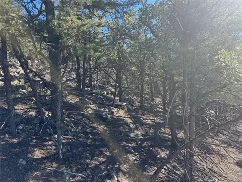 0 G Path, Cotopaxi, CO 81223 photo 10
