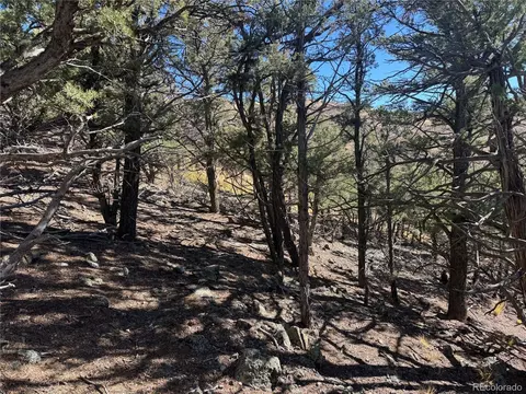 0 G Path, Cotopaxi, CO 81223 photo 15
