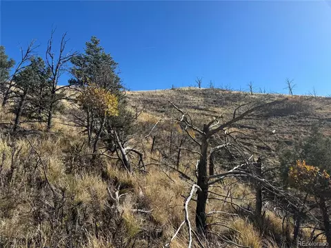 0 G Path, Cotopaxi, CO 81223 photo 19
