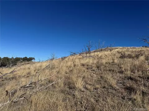 0 G Path, Cotopaxi, CO 81223 photo 26