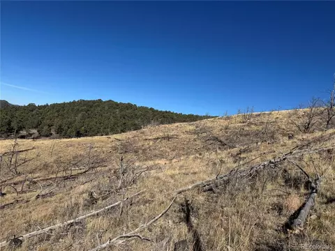 0 G Path, Cotopaxi, CO 81223 photo 33