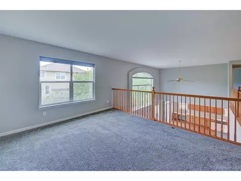 8545 Braun Loop, Arvada, CO 80005 photo 24