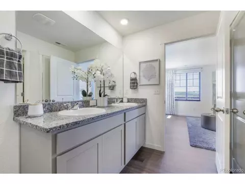 6009 Holstein Dr, Windsor, CO 80528 photo 11
