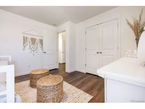 6009 Holstein Dr, Windsor, CO 80528 photo 14