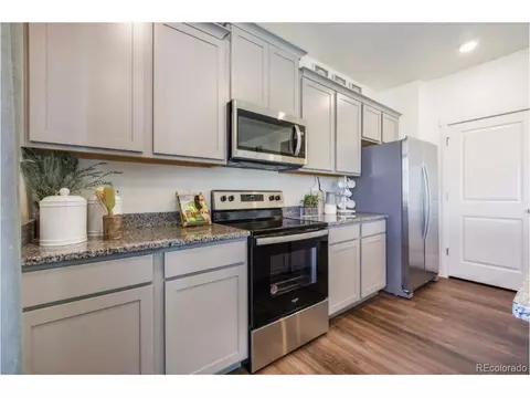 6009 Holstein Dr, Windsor, CO 80528 photo 8