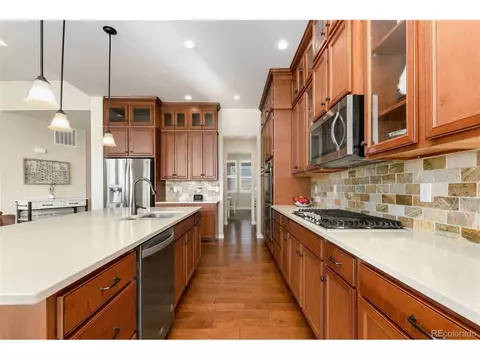 7039 Lightning Ct, Timnath, CO 80547 photo 8