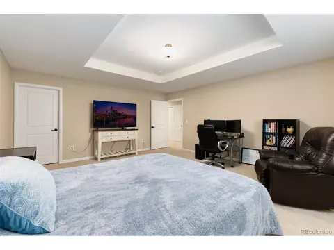 7039 Lightning Ct, Timnath, CO 80547 photo 19