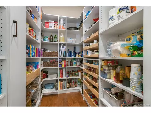 7039 Lightning Ct, Timnath, CO 80547 photo 9