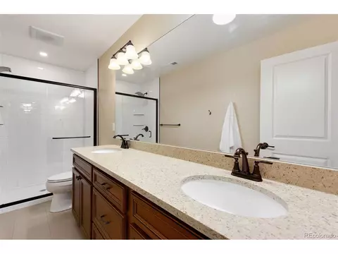 7039 Lightning Ct, Timnath, CO 80547 photo 20