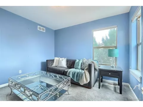9074 E 29th Pl, Denver, CO 80238 photo 28