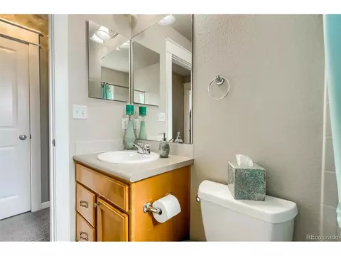 9074 E 29th Pl, Denver, CO 80238 photo 35