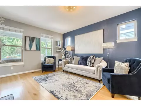 9074 E 29th Pl, Denver, CO 80238 photo 3