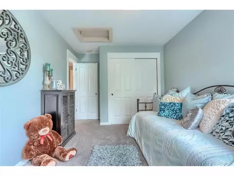 9074 E 29th Pl, Denver, CO 80238 photo 25