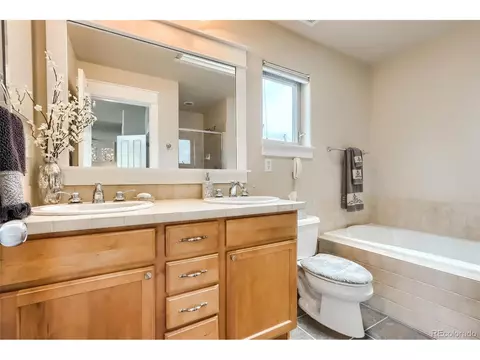 9074 E 29th Pl, Denver, CO 80238 photo 20