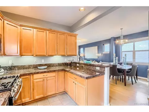 9074 E 29th Pl, Denver, CO 80238 photo 12