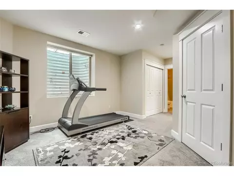 9074 E 29th Pl, Denver, CO 80238 photo 36