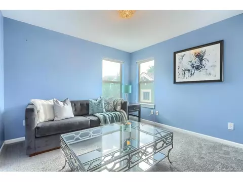 9074 E 29th Pl, Denver, CO 80238 photo 26