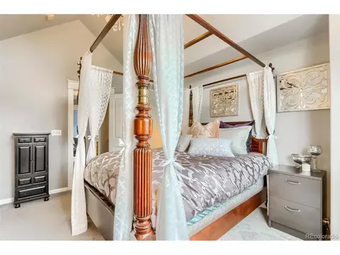 9074 E 29th Pl, Denver, CO 80238 photo 19