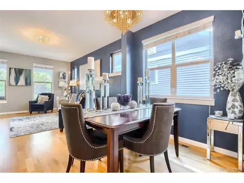 9074 E 29th Pl, Denver, CO 80238 photo 17