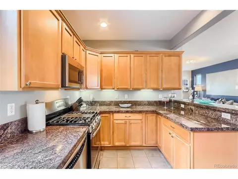 9074 E 29th Pl, Denver, CO 80238 photo 11