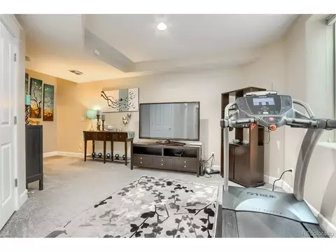9074 E 29th Pl, Denver, CO 80238 photo 37