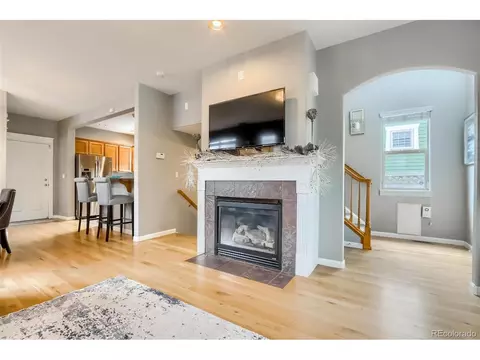 9074 E 29th Pl, Denver, CO 80238 photo 7