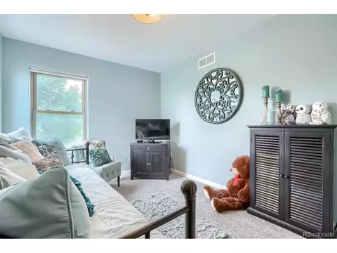 9074 E 29th Pl, Denver, CO 80238 photo 24