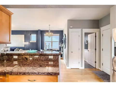 9074 E 29th Pl, Denver, CO 80238 photo 13