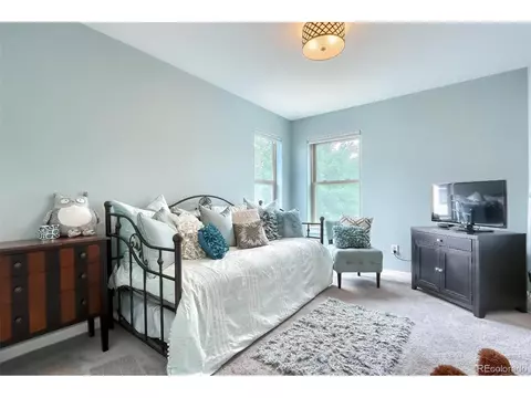 9074 E 29th Pl, Denver, CO 80238 photo 23