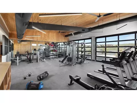 746 Simmental Loop, Castle Rock, CO 80104 photo 14