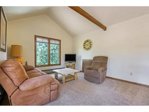 9062 Gray Fox Dr, Evergreen, CO 80439 photo 14