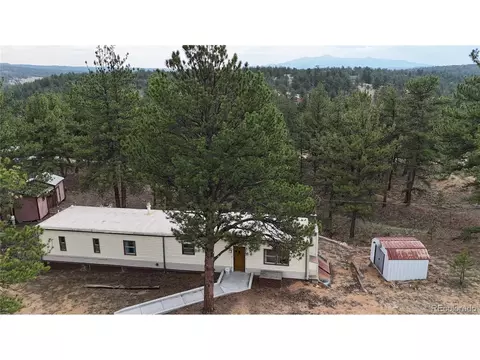 320 Forest Glen Trl, Florissant, CO 80816