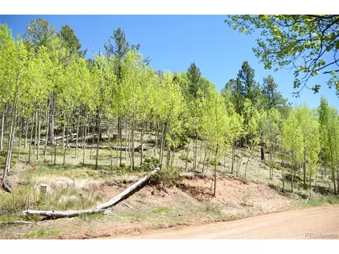 1929 Golden Cycle Cir, Cripple Creek, CO 80813