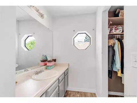 19083 E 46th Ave, Denver, CO 80249 photo 19