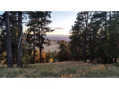 952 Penrose Cir, Cripple Creek, CO 80813