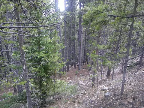 440 Hillside Rd, Idaho Springs, CO 80452