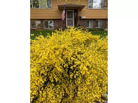 4555 Brookfield Dr, Boulder, CO 80305 photo 34