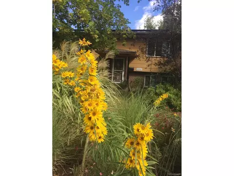 4555 Brookfield Dr, Boulder, CO 80305 photo 33