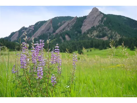 4555 Brookfield Dr, Boulder, CO 80305 photo 40