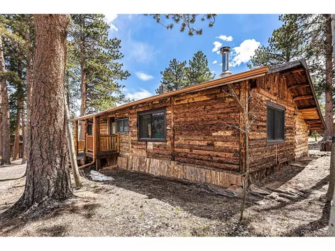 25 Washington St, Allenspark, CO 80510