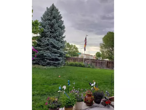 2421 E 126th Loop, Thornton, CO 80241 photo 33