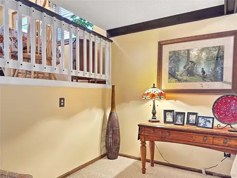 4852 S Cole St, Morrison, CO 80465 photo 9